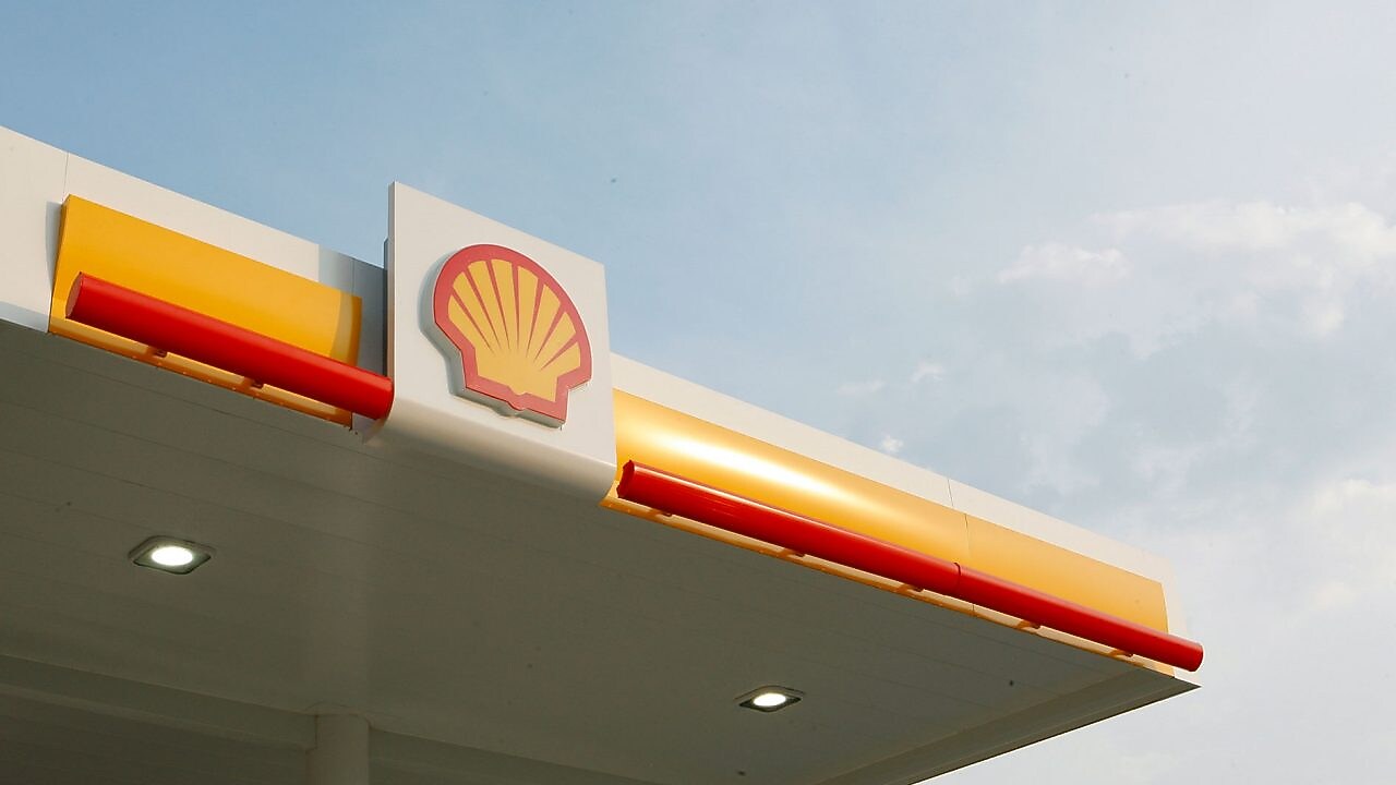 shell pecten with sky and clouds