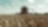 Yellow combine harvester in a wheat field