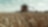 Yellow combine harvester in a wheat field