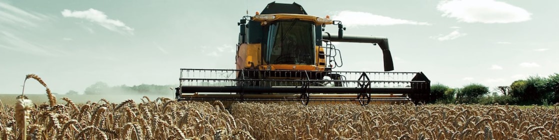 Yellow combine harvester in a wheat field